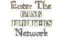 Enter the Gang Fighters Network